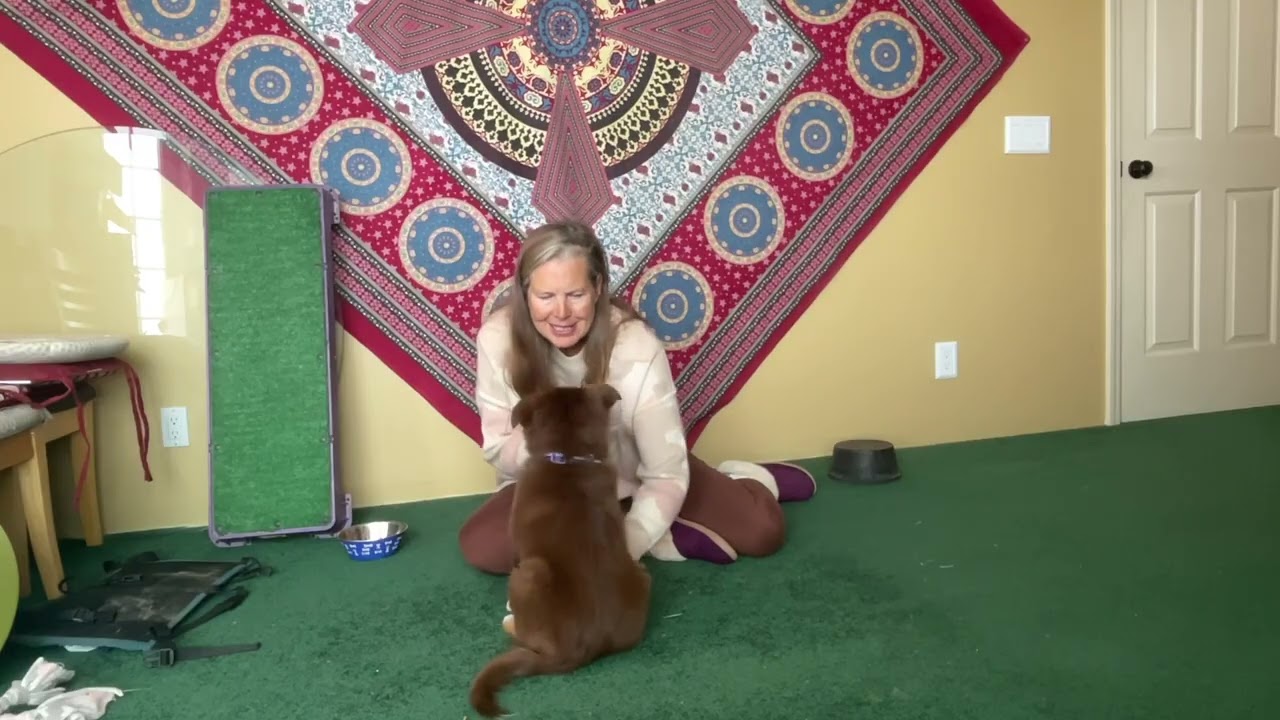 collar grab game-ready cue using reset cookies
