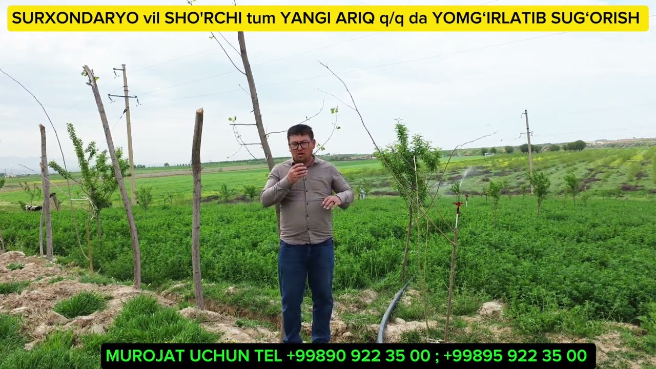 SURXONDARYO vil  SHO'RCHI tum YANGI ARIQ qq da Yomg‘irlatib sug‘orish #sugorish #yomgirlatib #akona