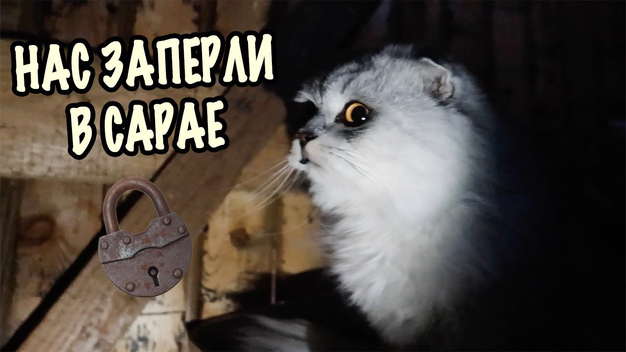 НИКОГДА НЕ РАССКАЗЫВАЙТЕ УЖАСТИКИ В САРАЕ | КОШАЧЬЯ ИСТОРИЯ УЖАСОВ 2 СЕЗОН