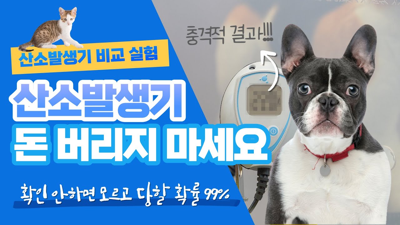 [강아지 산소방 만들기] 산소발생기 사기 전 반드시 확인하세요 ✔ 충격적 실험 결과..