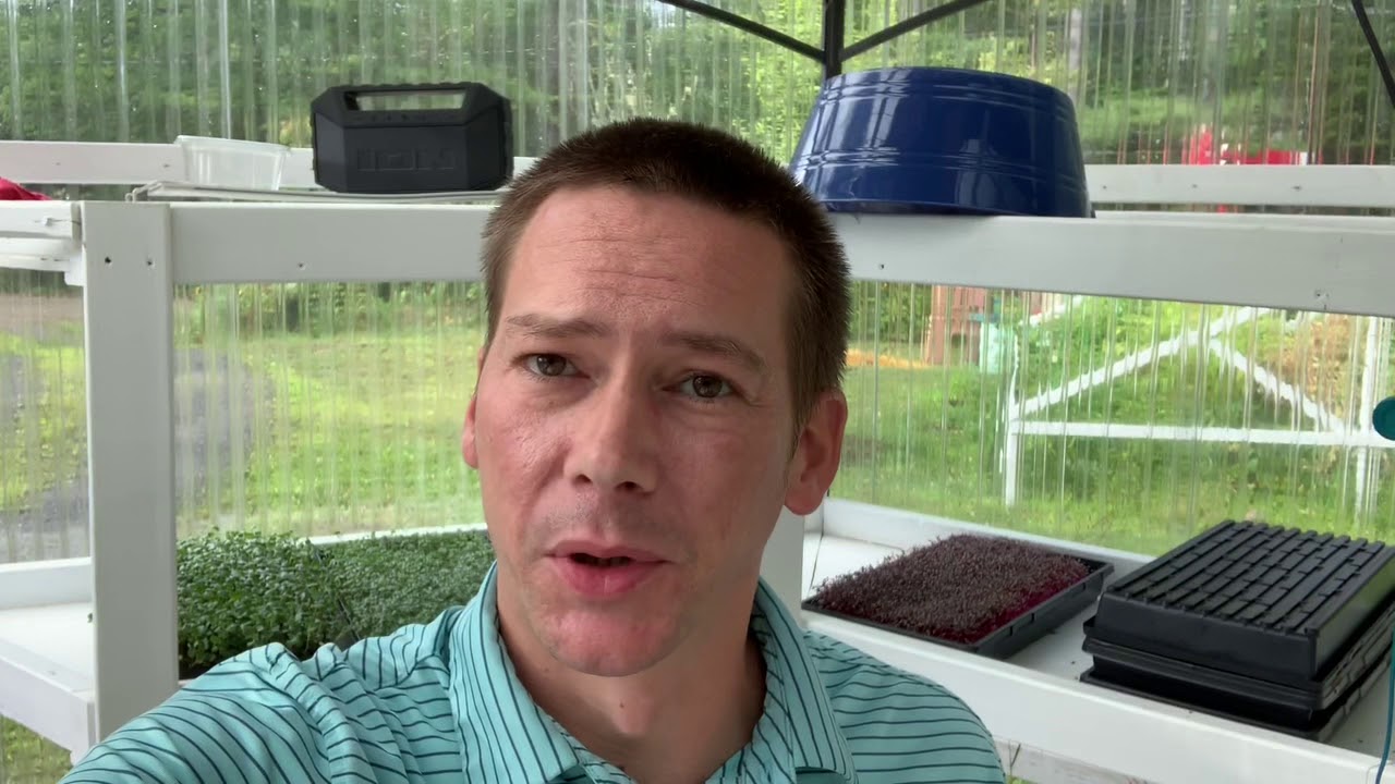 Greenhouse Microgreens are No Fun