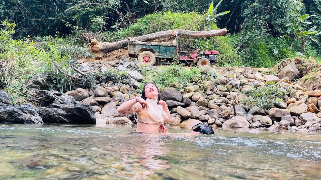 Agricultural vehicle transporting timber; girl logging in the countryside.