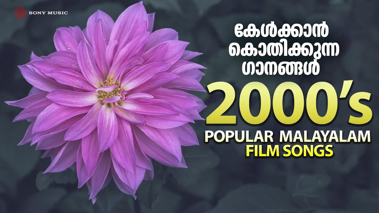 കേൾക്കാൻ കൊതിക്കുന്ന ഗാനങ്ങൾ | 2000's Popular Malayalam Film Songs