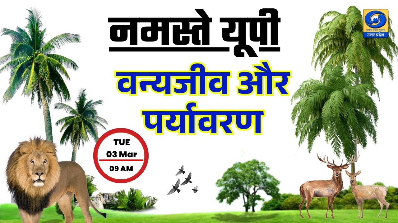 🔴वन्यजीव और पर्यावरण | नमस्ते यूपी । Namaste UP। 09:00 AM