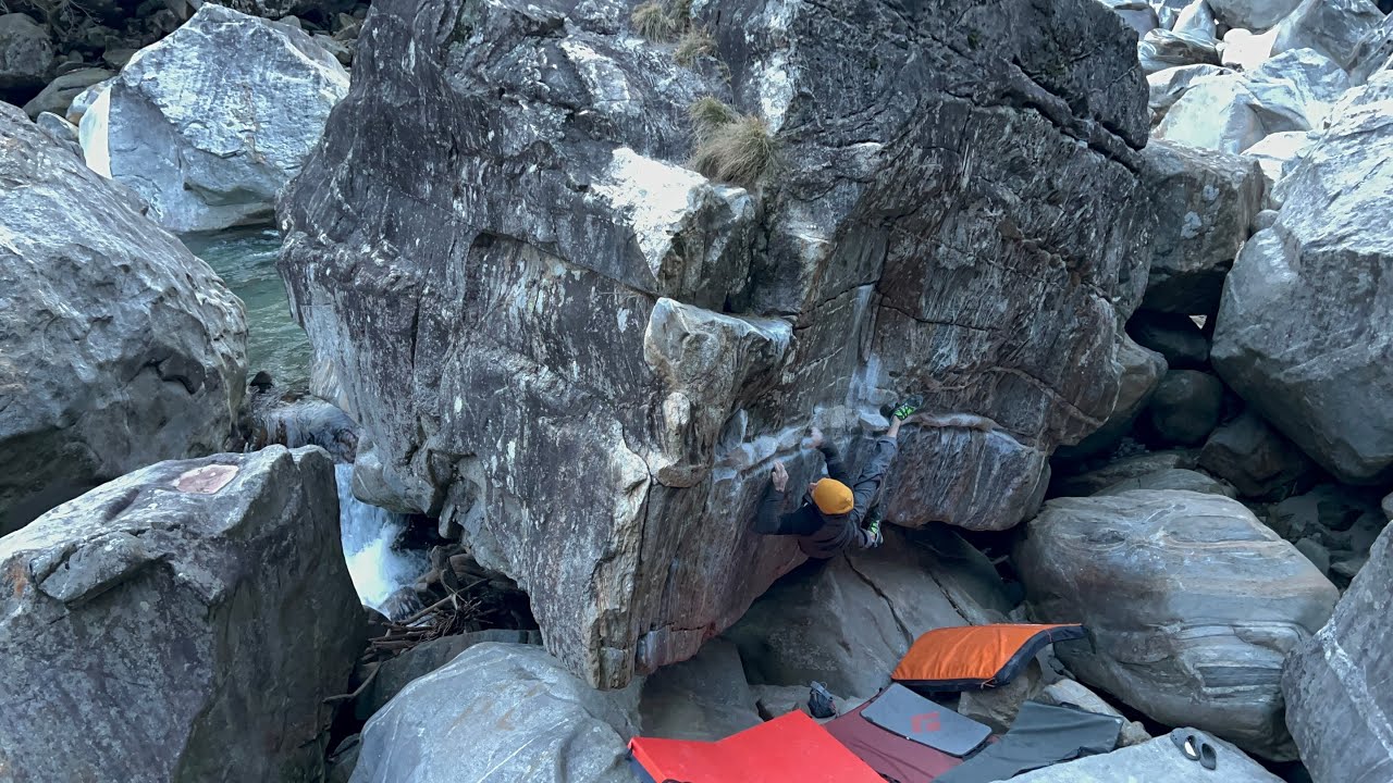 Pro Touch Trav. Low “7a” / Brione