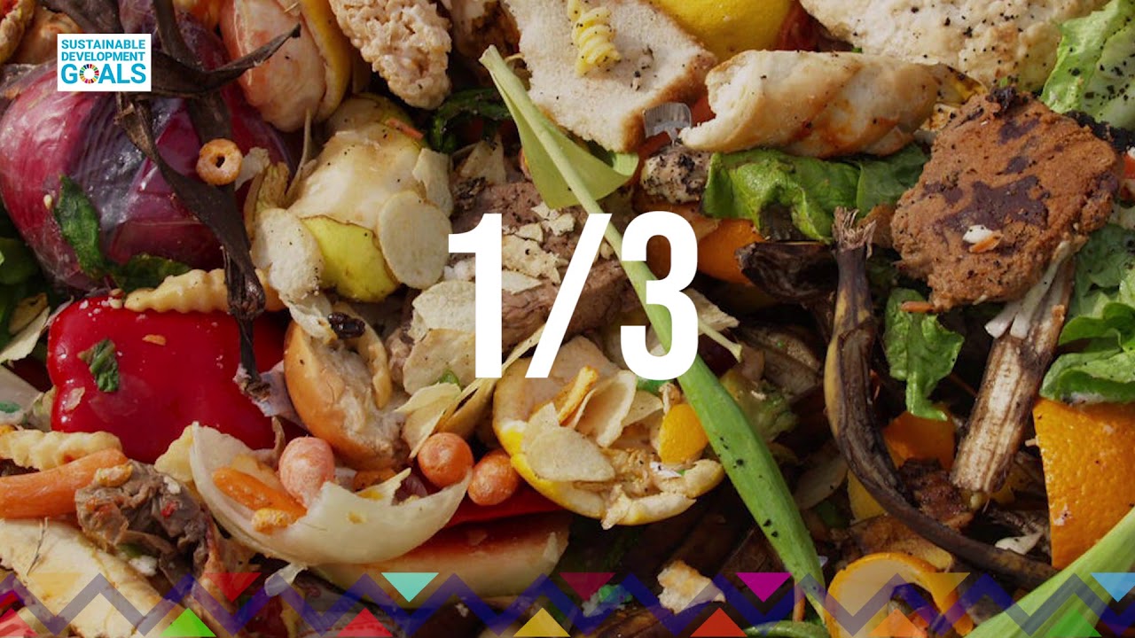 Youth Connekt SDG Campaign : SDG 12 Responsible Consumption And Production