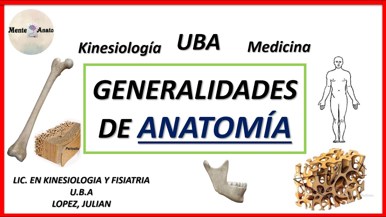 GENERALIDADES ANATOM&Iacute;A UBA Medicina y kinesiolog&iacute;a