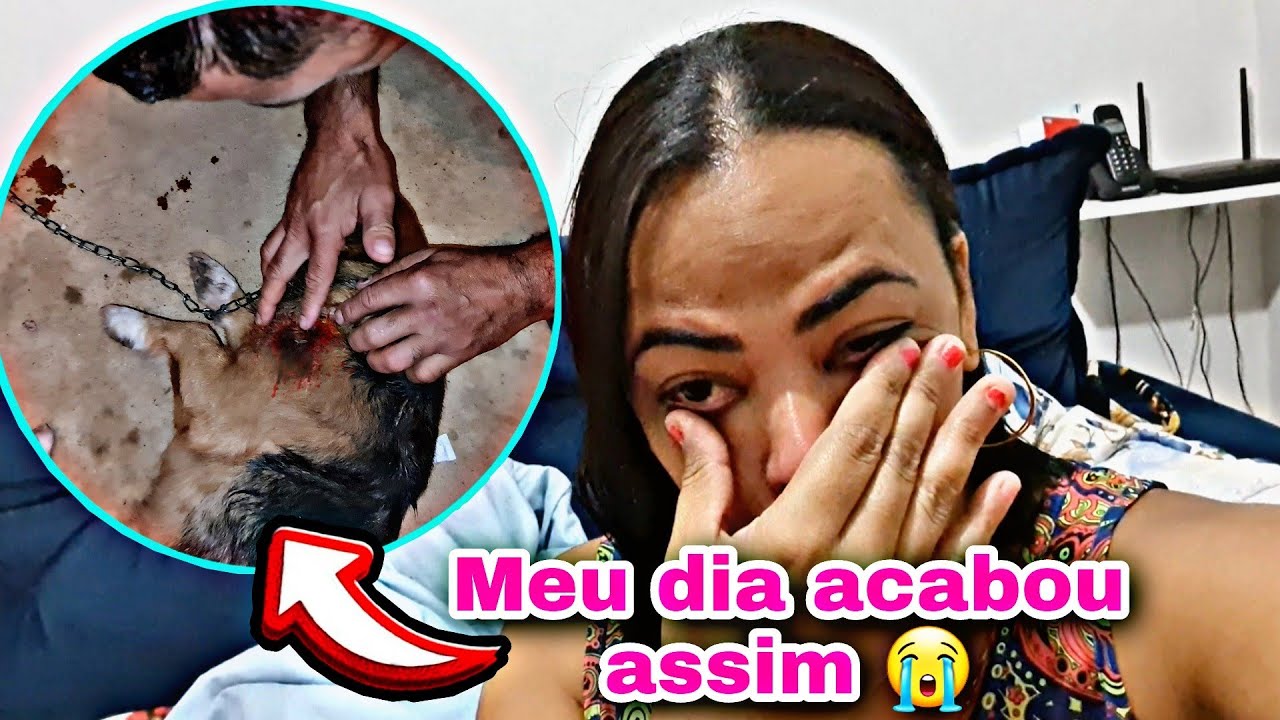ERA PRA SER UM DIA FELIZ MAS ACABOU MUITO TRISTE 😭😭