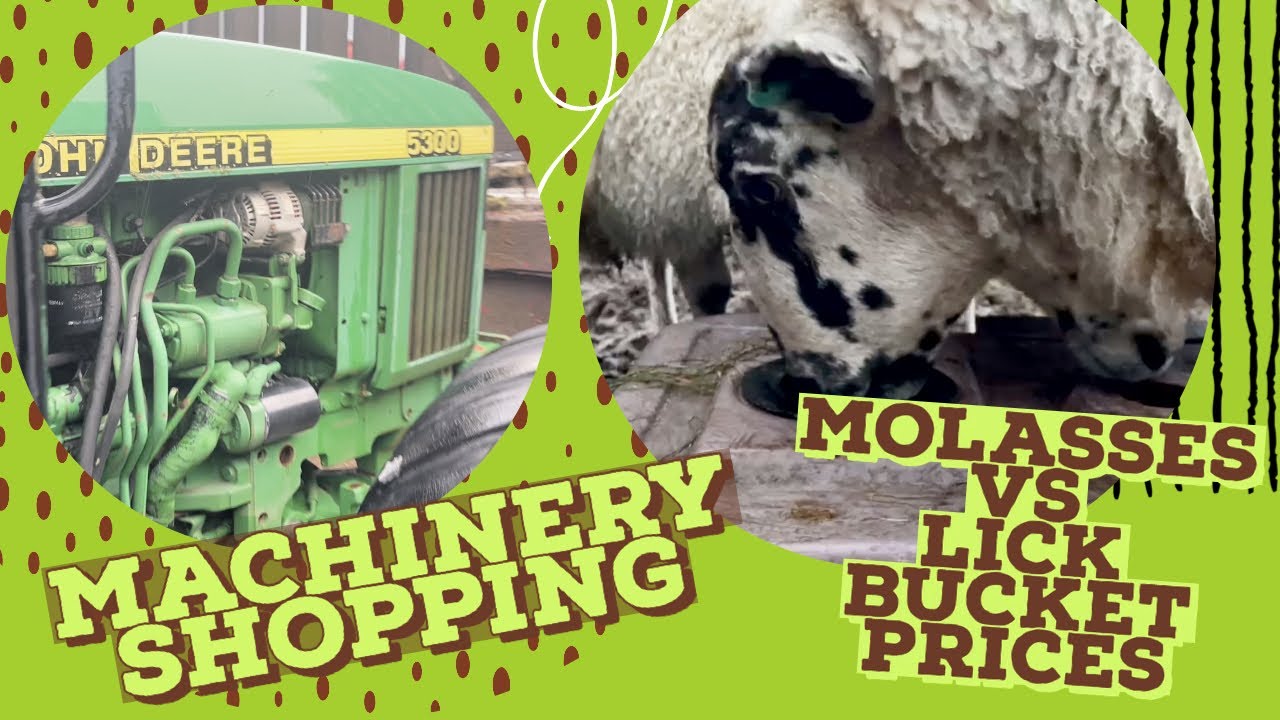 Machinery shopping. Molasses comparison to lick buckets pence per kg and benefits