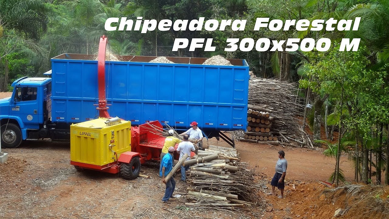 Chipeadora Forestal Castor 500 - Chipeando troncos y ramos de eucalipto