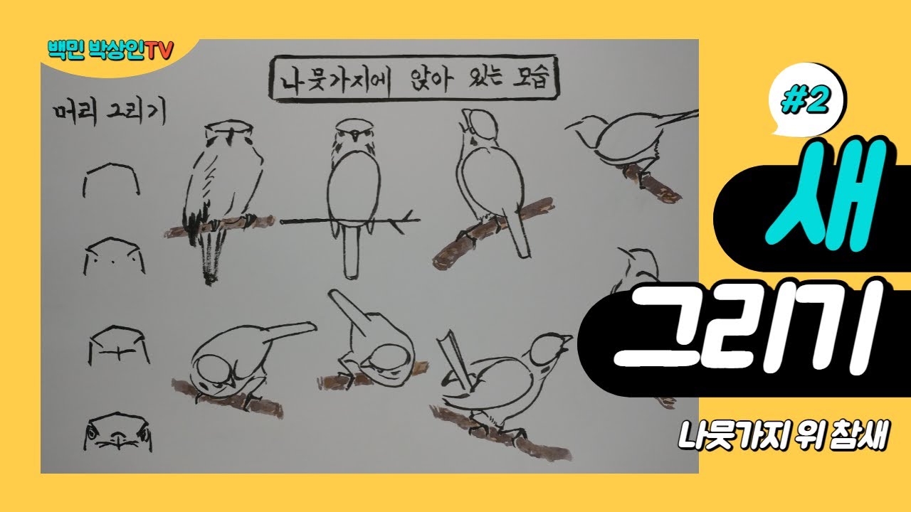 새 그리기(2) - 나뭇가지에 앉은 참새