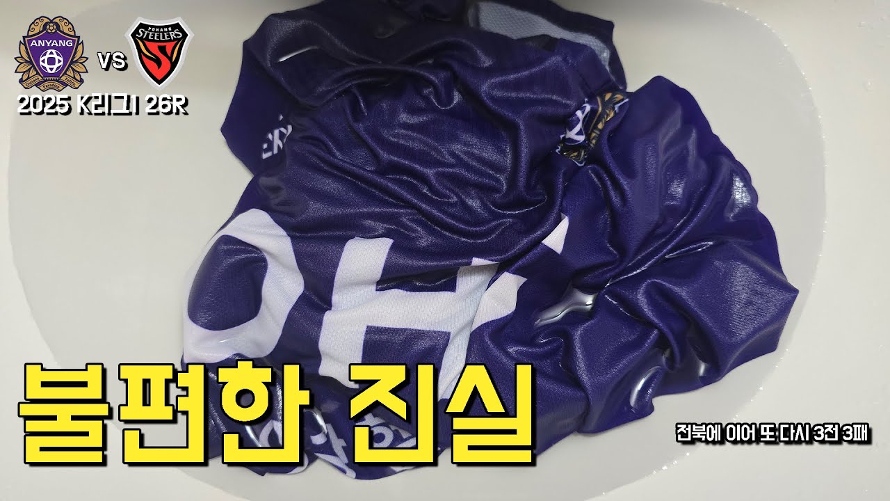 FC안양 vs 포항스틸러스 [안양보라고, K리그직관러]