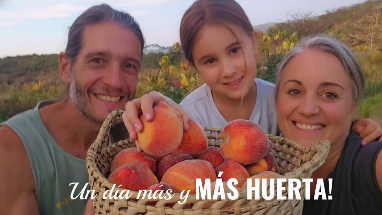 🍑La fruta es posible en las sierras!! 🍓Cosecha de Duraznos, Frutillas y un nuevo día juntos! 🥰