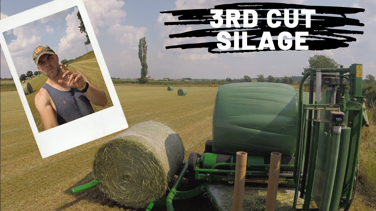 3RD CUT SILAGE