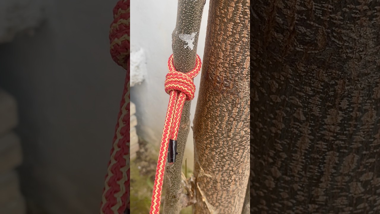 Strong Rope Knot #shorts #knot
