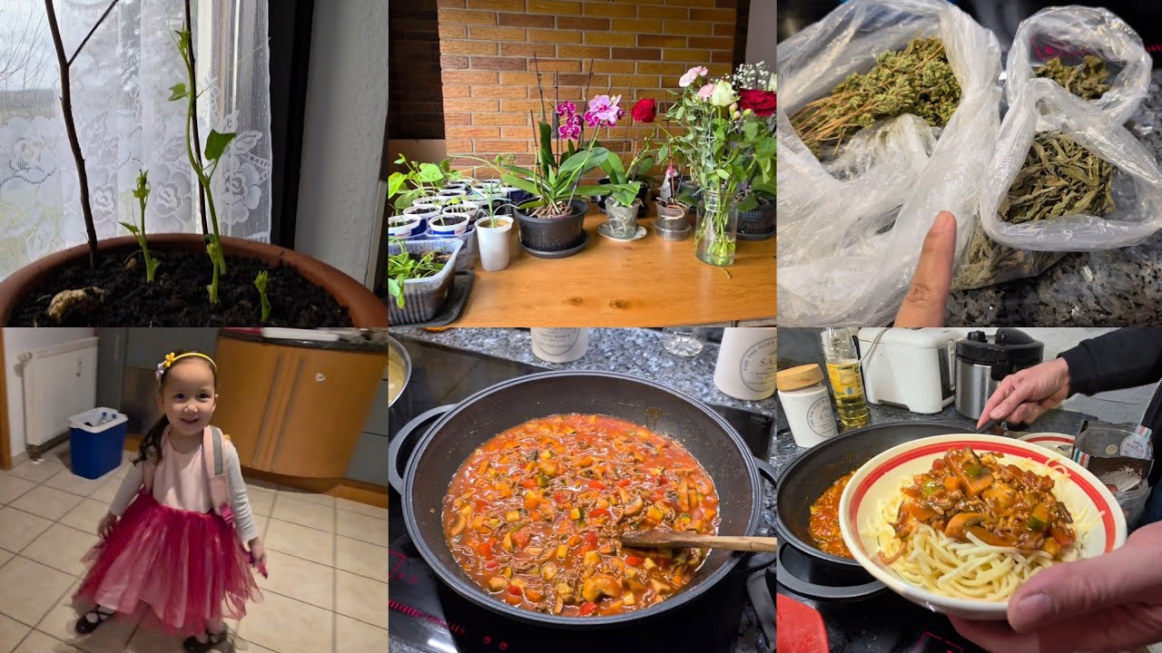 Update on the Vegetable's Seeds that I sowed||Making Spaghetti with Local Herbs for Dinner😋