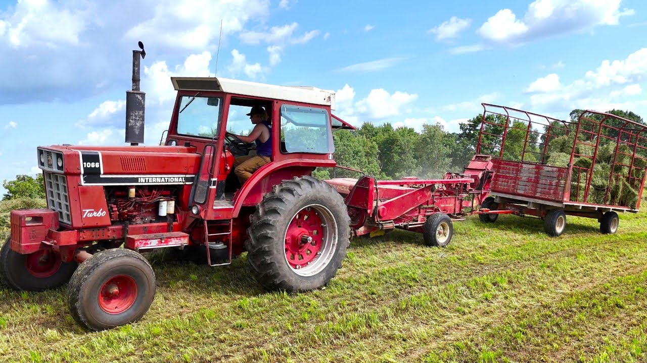Baling Hay On A Dairy Farm l 2nd Crop Alfalfa Hay l 1066 International Tractor (2024 Hay Season)