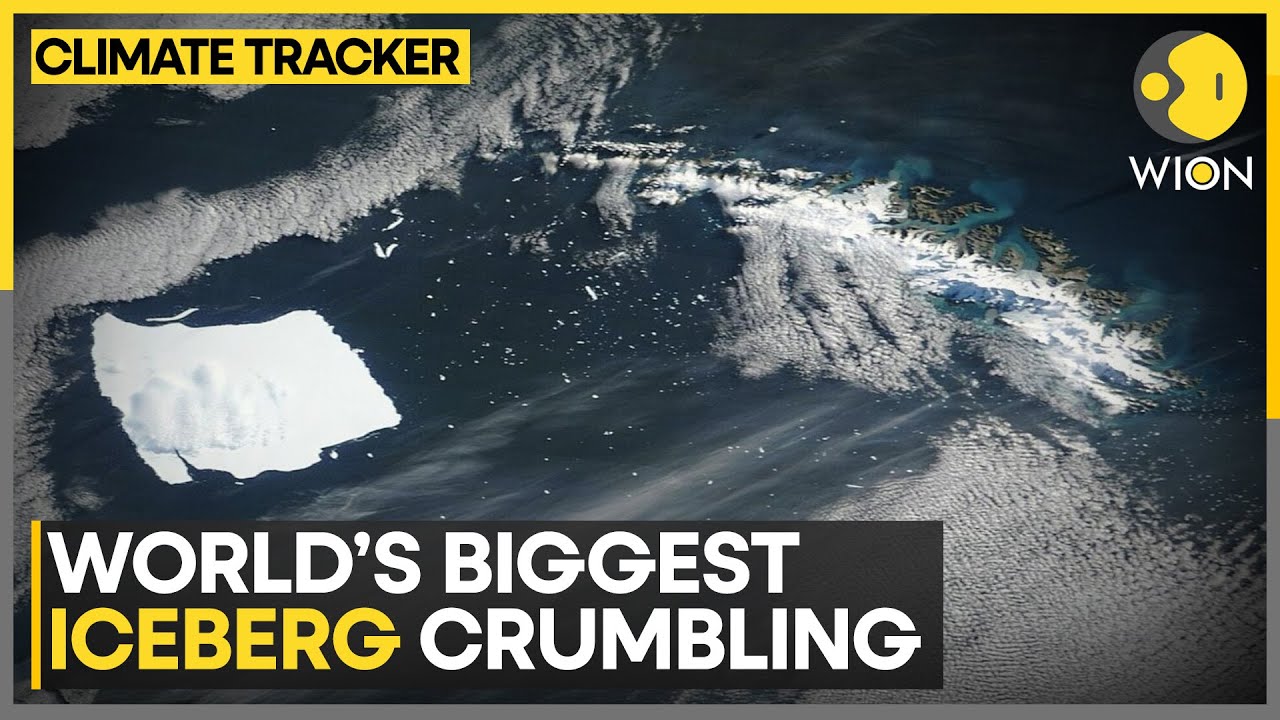 World's Biggest Iceberg: Frozen Giant A23A Breaking Apart | WION Climate Tracker