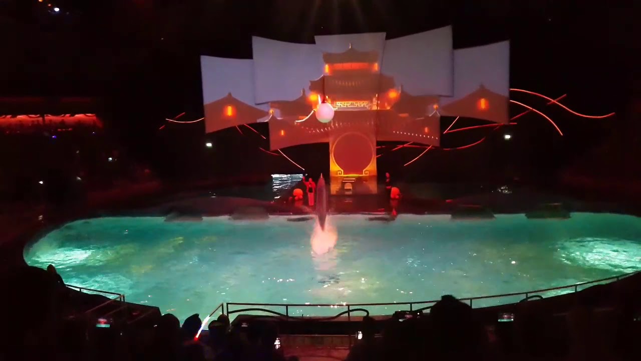 Aqua Bella dolfijnenshow