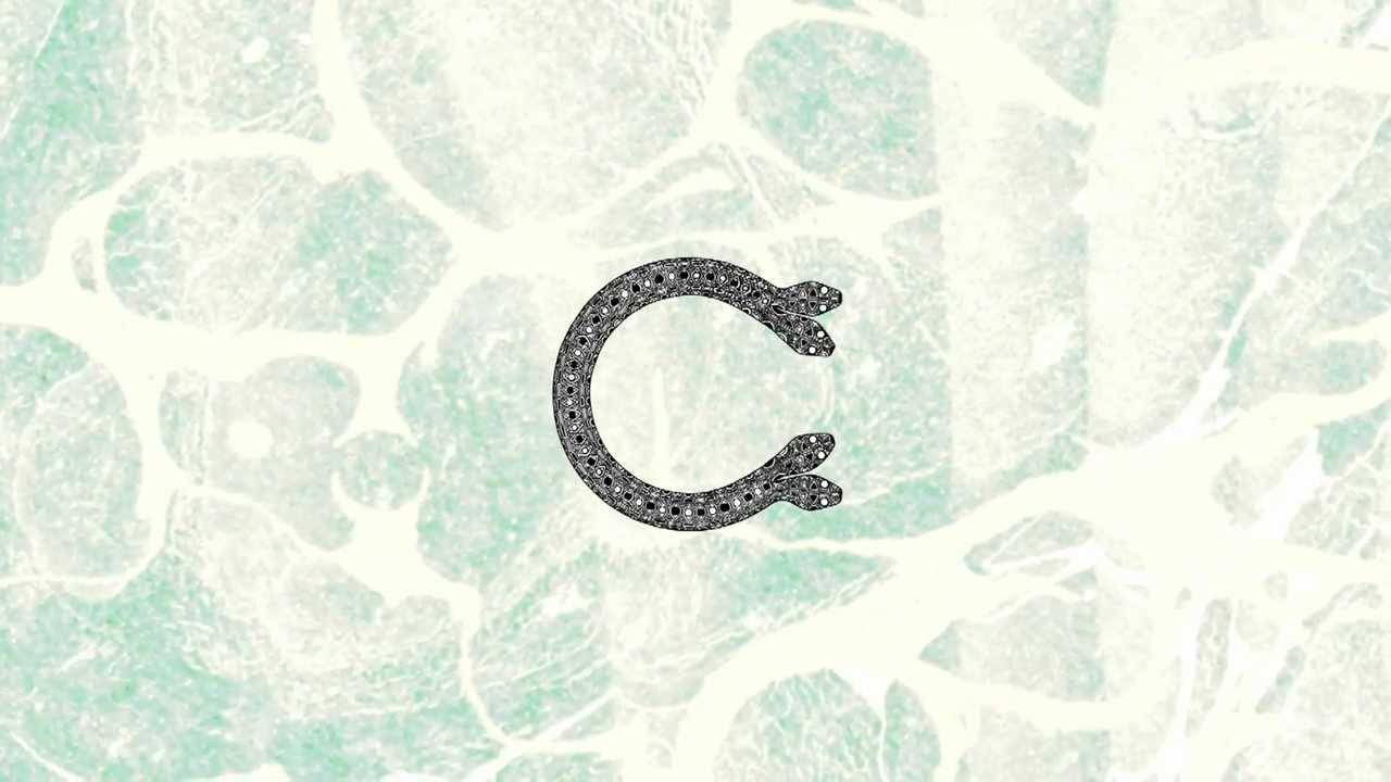 Chairlift x Disco Na&iuml;vet&eacute;  - The Amanaemonesia