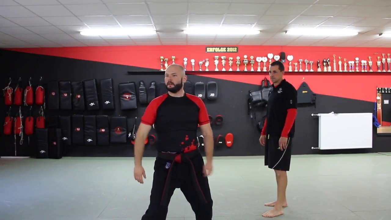 Live Seminar Lessons: Verteidigung gegen Schwinger