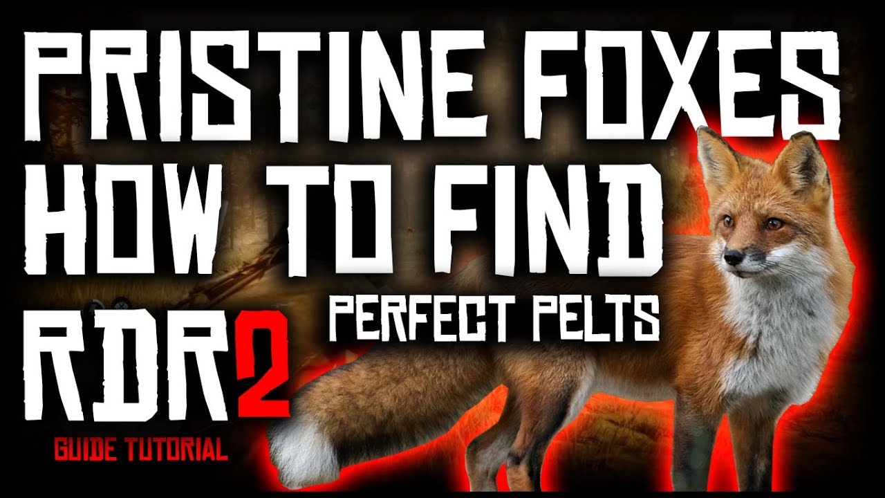 HOW TO FIND PRISTINE FOXES AND GET PERFECT PELTS | RED DEAD REDEMPTION 2 | GUIDE TUTORIAL