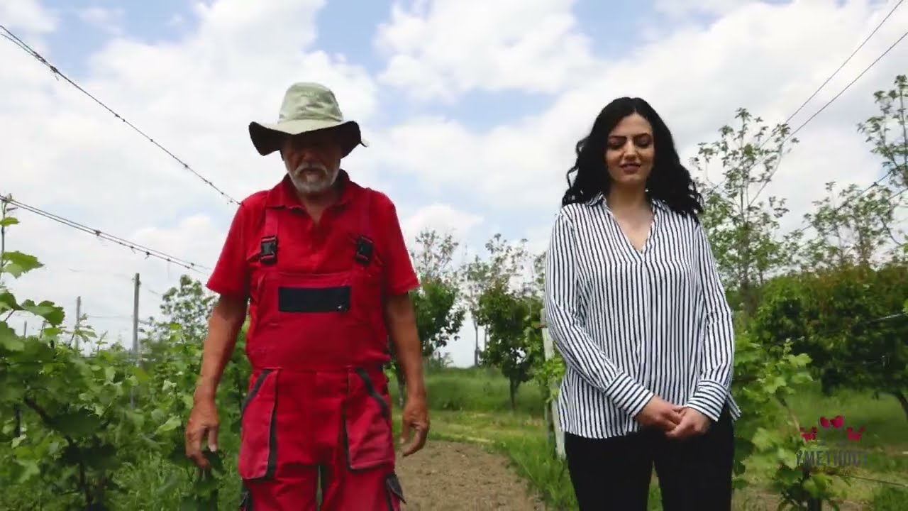 Umetnost u čaši ep. 135 07.06.2022. Vinarija Puhača, Čurug