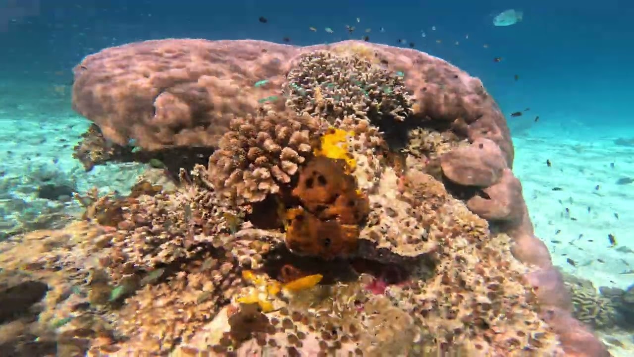 Raja Ampat, Kri Island