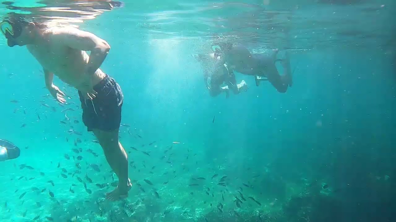Cebu island hopping tour || free dive @ gilutungan 2