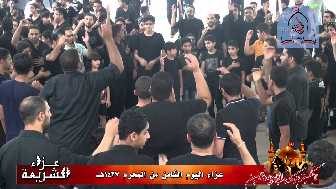 1437-يوم8-يا عريس ياجسام