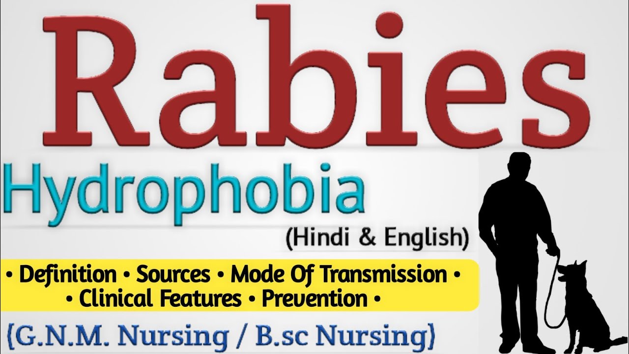 Rabies (Hydrophobia) In Hindi // Hydrophobia // Rabies