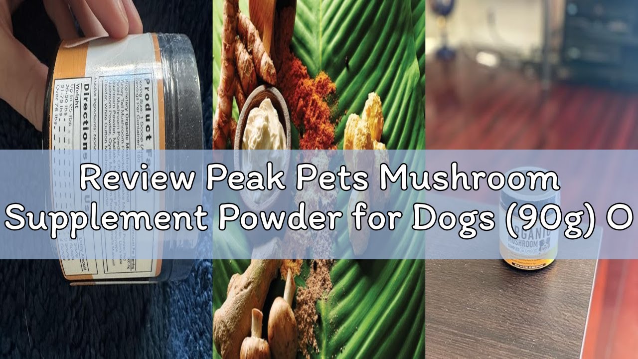 Review Peak Pets Mushroom Supplement Powder for Dogs (90g) Organic Mushroom Complex with Turkey Tail