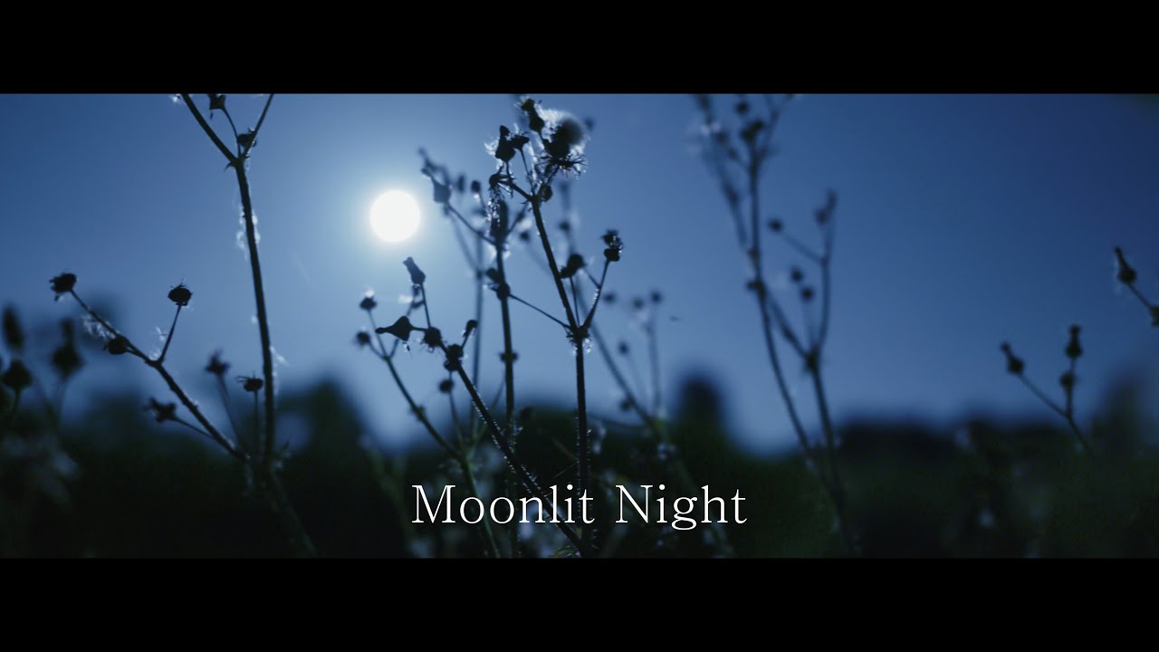 Moonlit Night   Lumix S5m2x SIGMA 24mm F1.4 DG DN Art   2024 /06 /21