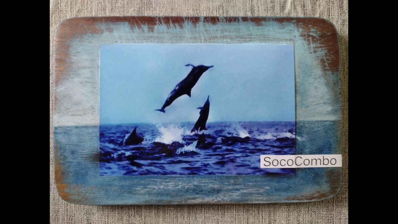 Delfin