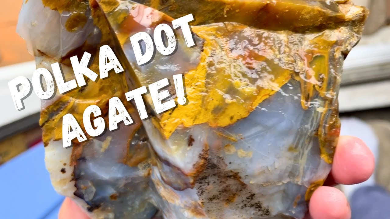 Digging Polka Dot AGATES and GIANT Thundereggs!