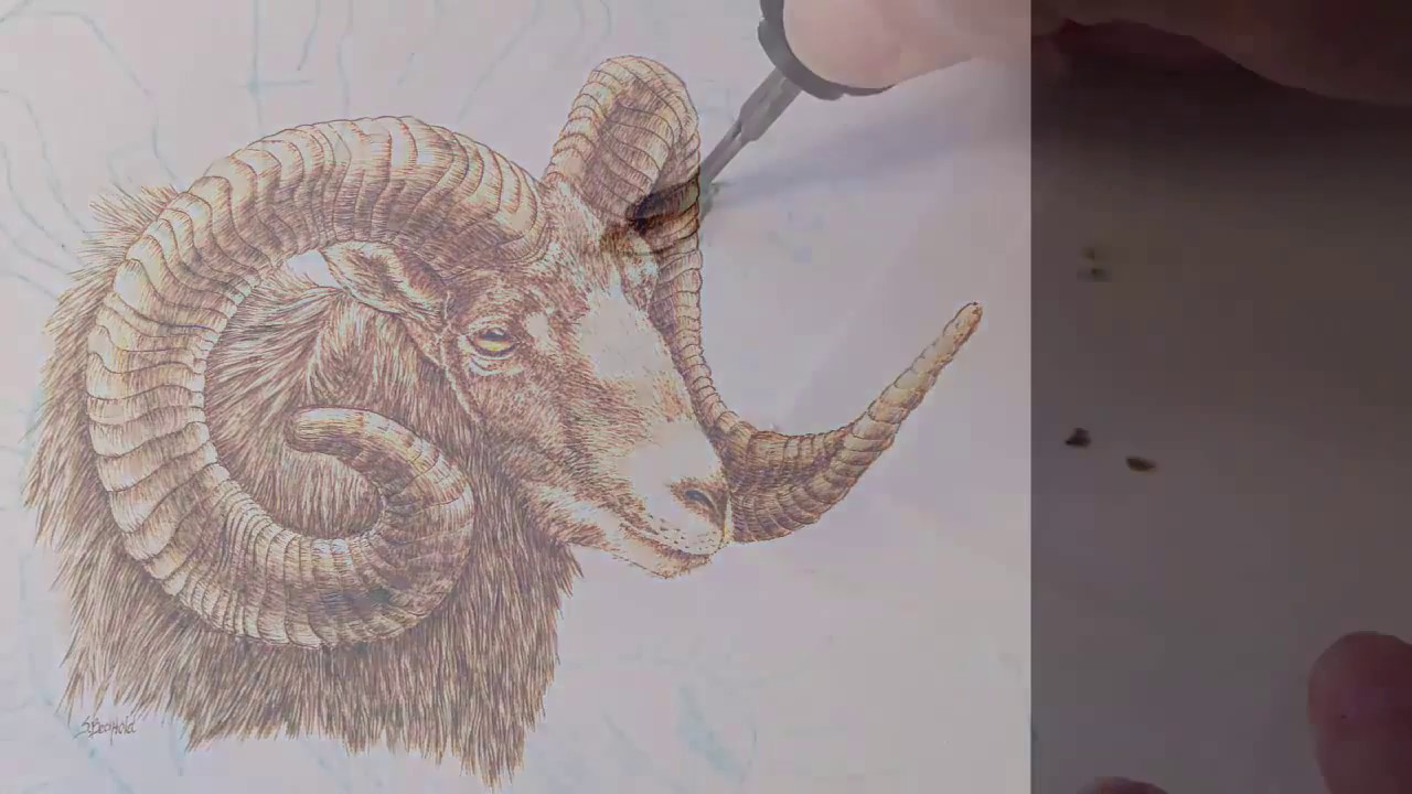Pyrography: How to Burn a Ram on Paper