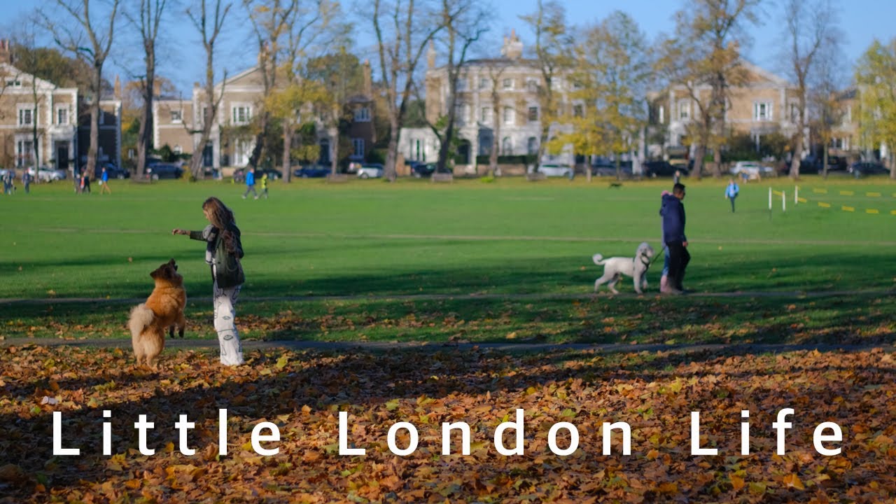 Autumn in London | Easy pumpkin soup recipe | Richmond Petersham Nurseries