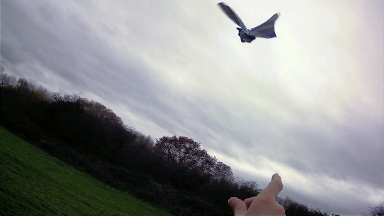 Robo-Bat fixed SUCCESS