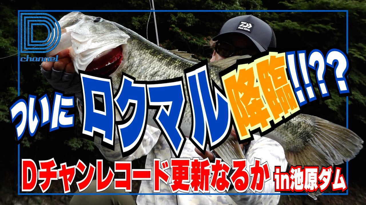 【青木大介 D Channel #021】ついにロクマル降臨!? in池原ダム