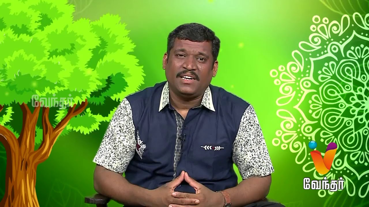 Foot cracks and Toe nail? (பாத வெடிப்பு, காலில் ஆணி) - Healer Basker [Epi - 1122]