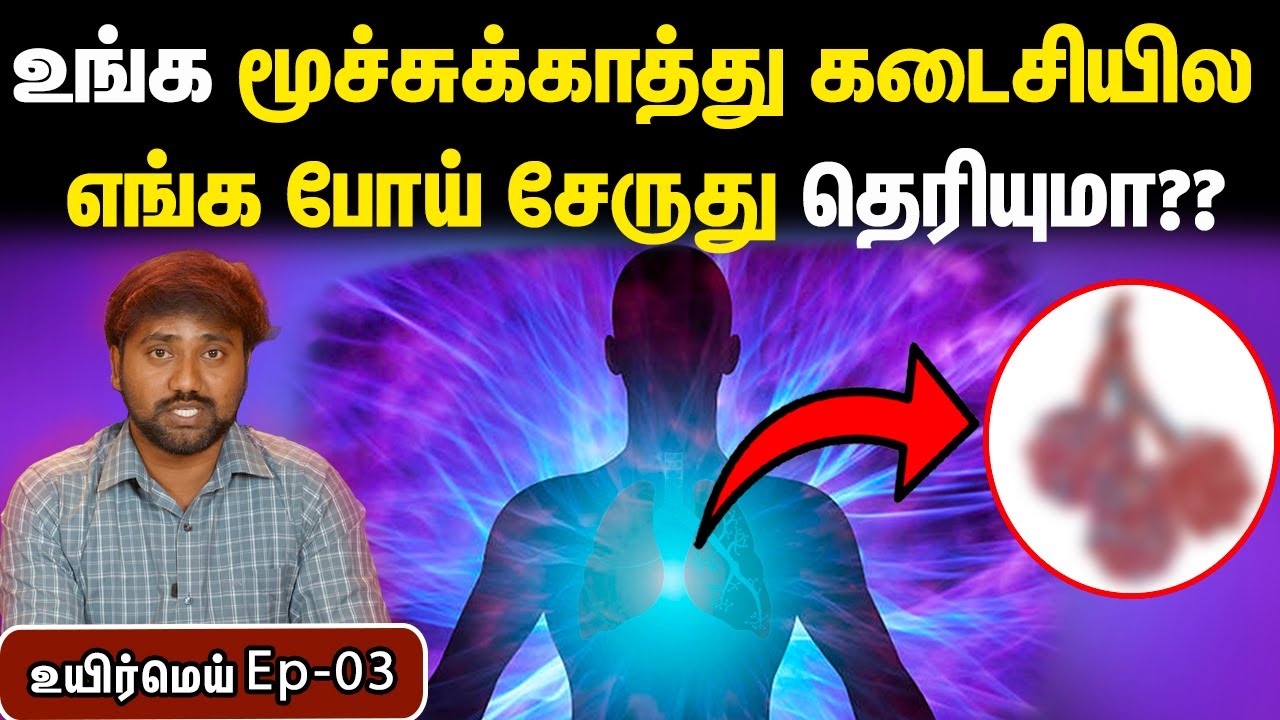 அதிக ஆபத்தில் இருக்கும் உறுப்பு | நுரையீரல் எப்படி இயங்குகிறது? | How lungs work | Uyirmei episode 3