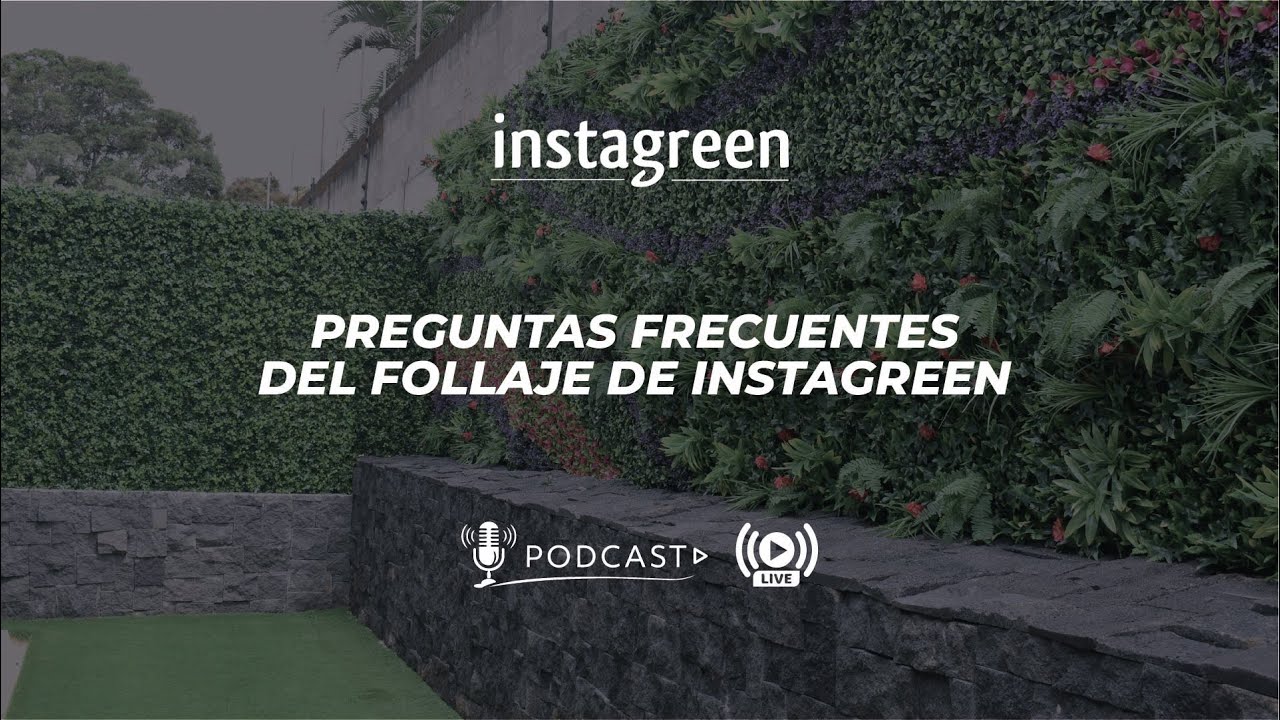 Preguntas frecuentes del follaje de instagreen