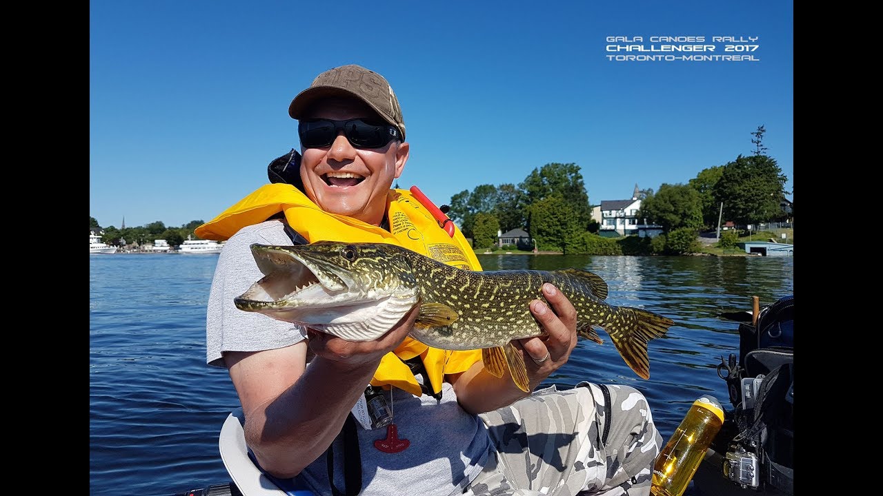 GALA CANOE RALLY Challenger 2017. Toronto-Montreal. Day 3. THOUSAND ISLANDS MAGIC