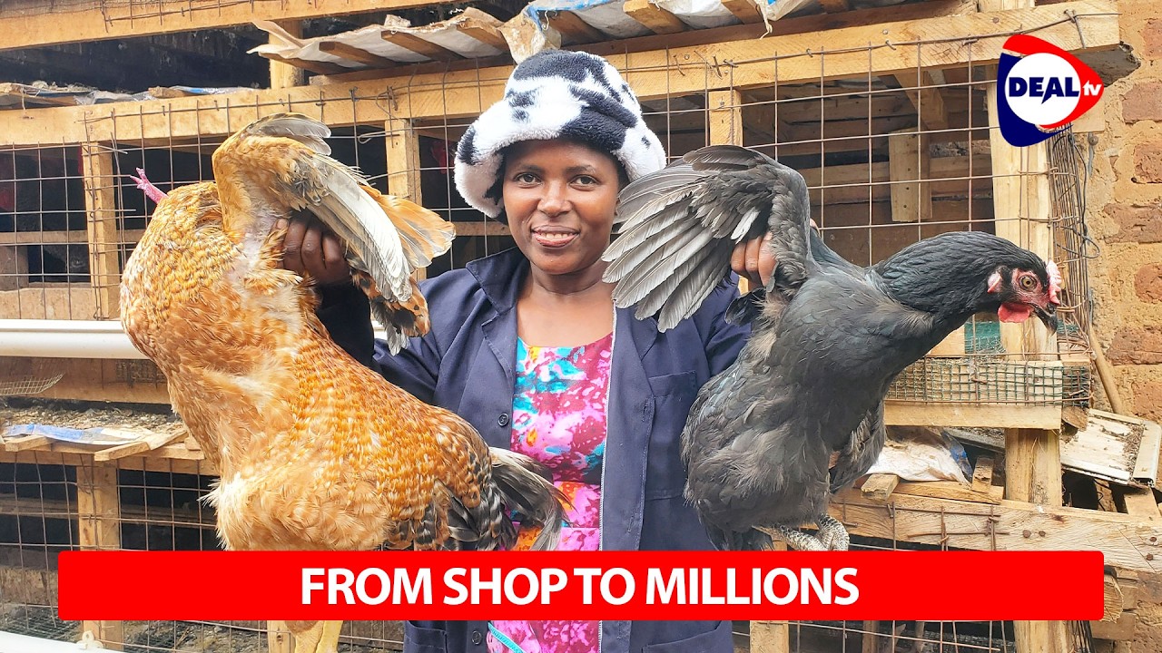 From Retail Shop to Poultry Millionaire in Uganda — How Local Chicken Farming Changed My Life
