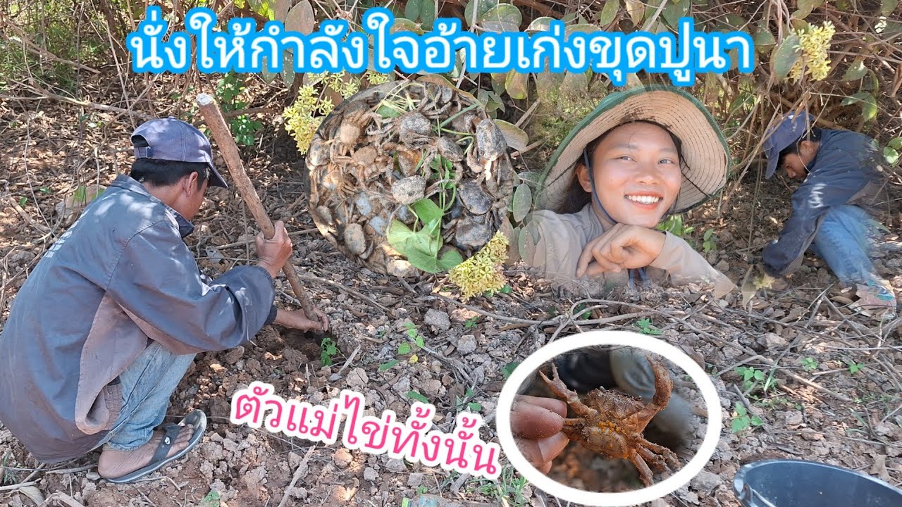 นั่งให้กําลังใจอ้ายเก่งขุดปูนา บรรยากาศสดใสที่ทุ่งนาสุขใจ 16 มีนาคม ค.ศ. 2026