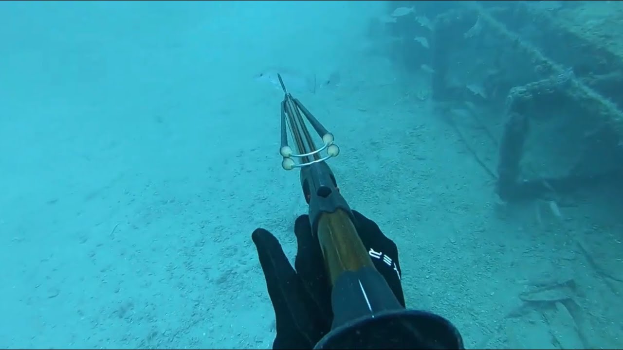 Spearfishing GULF OF MEXICO Barge Wreck