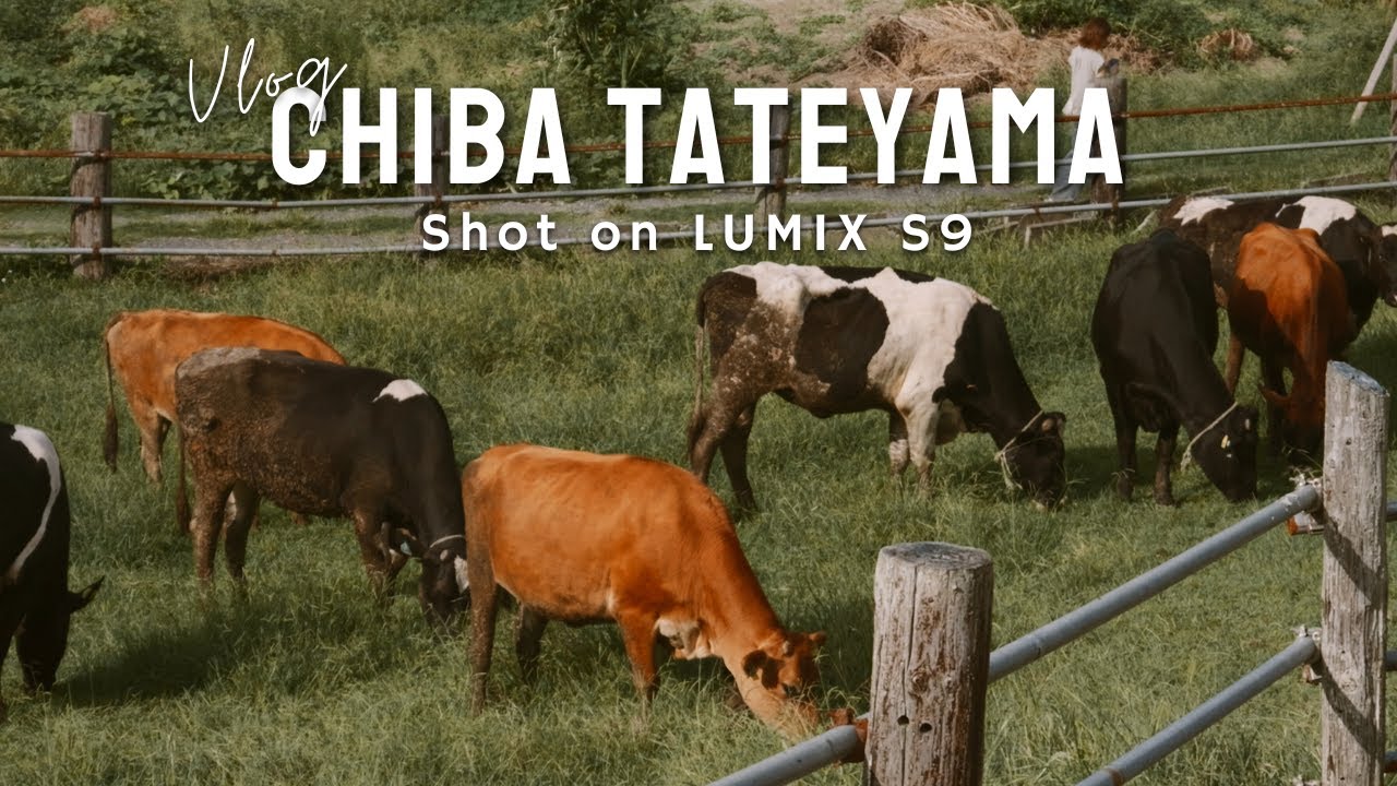 【千葉Vlog】LUMIX S9📷｜館山の小さな牧場までドライブ / 日常から解放されるために大切なこと