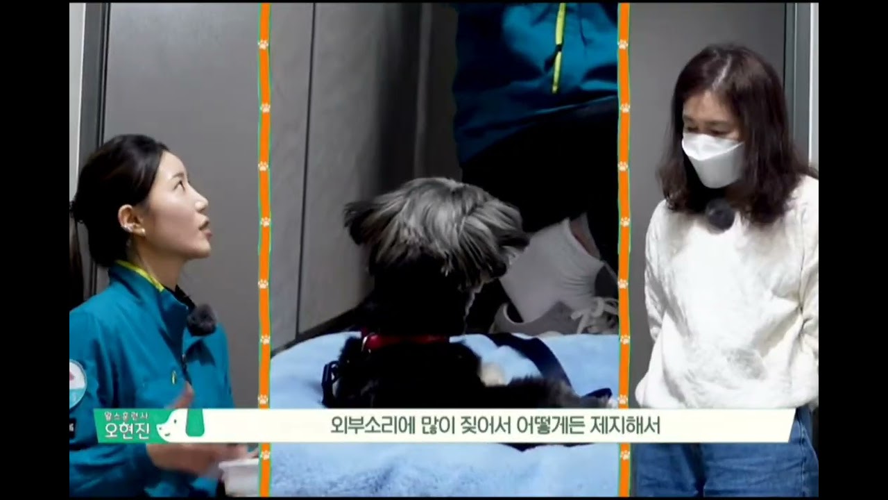외부짖음 교육 왈스