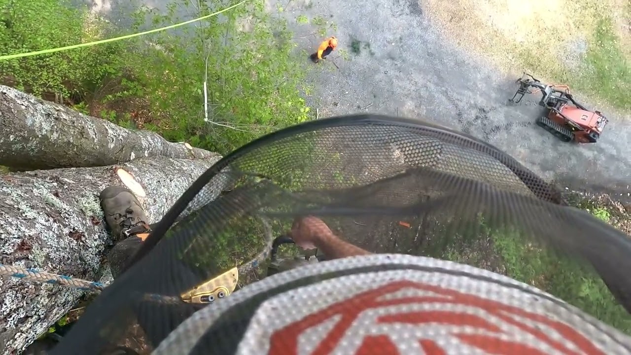 Speed line big White Pine. Zan chips my speedline sling. Zach 2nd day.