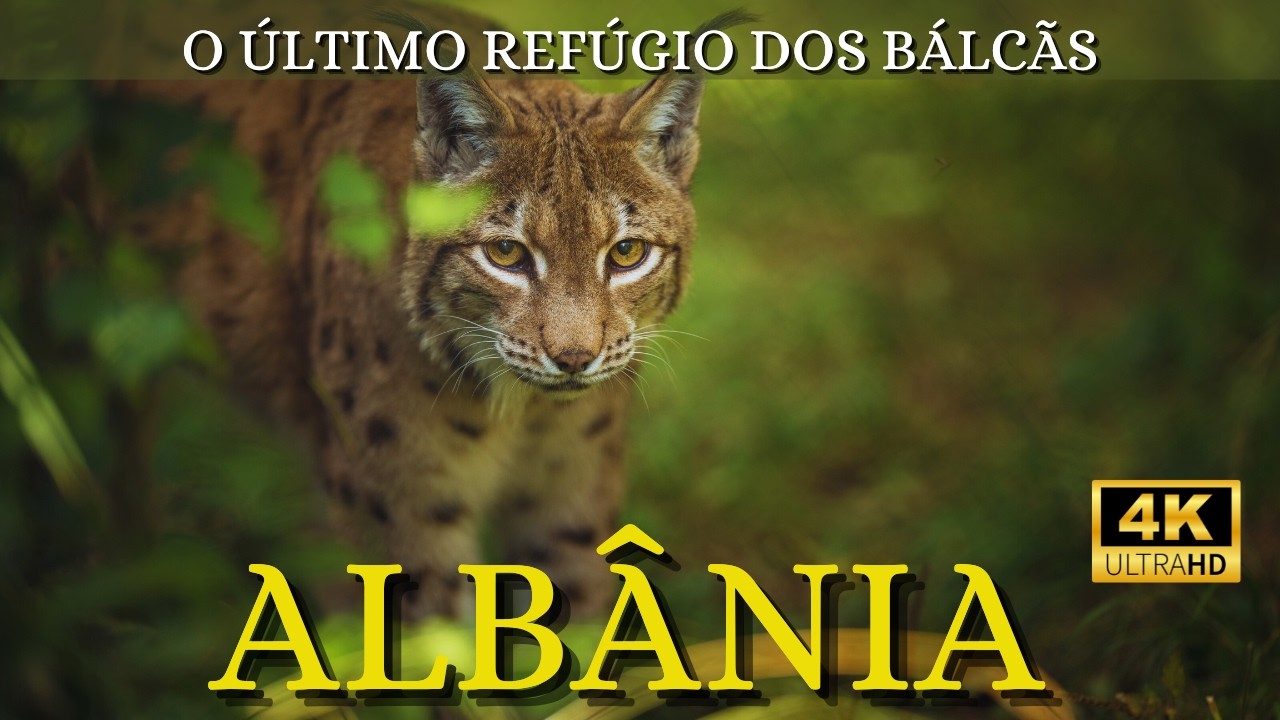 Conheça a Albânia Selvagem | A Incrível Fauna dos Bálcãs que o Mundo Esqueceu